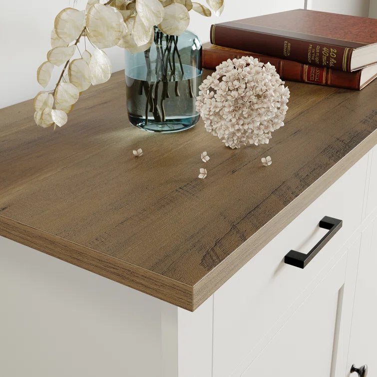 Ailynn - 2 Drawer- 2 Door Accent Cabinet